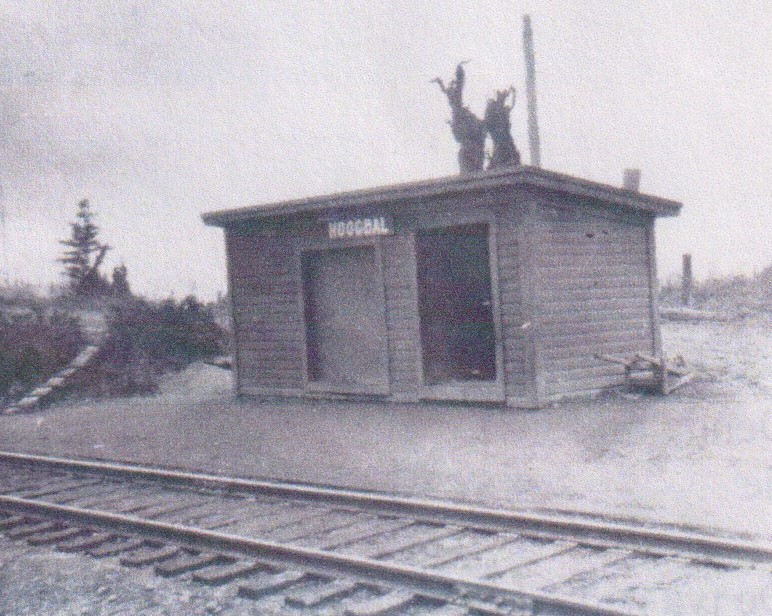 Hoogdal station