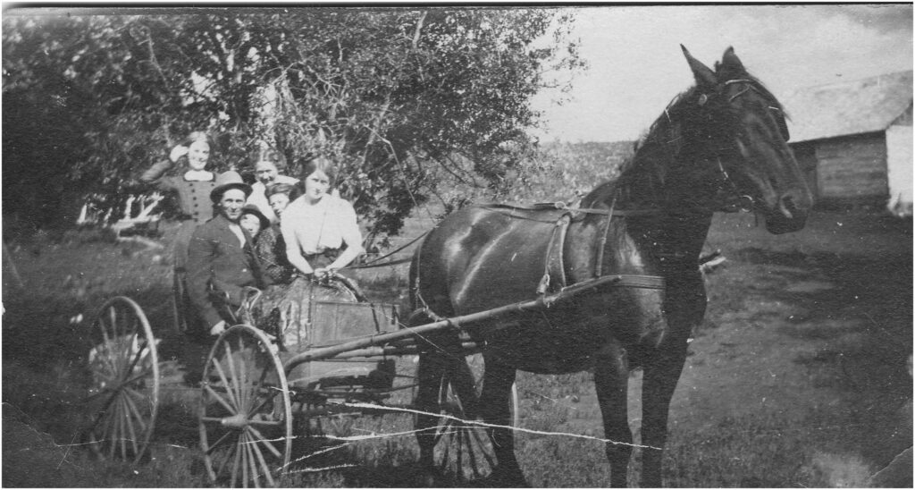 buggy ride